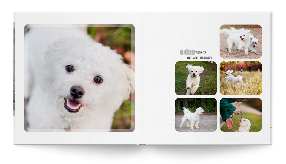 Pet-Tastic Pet Book