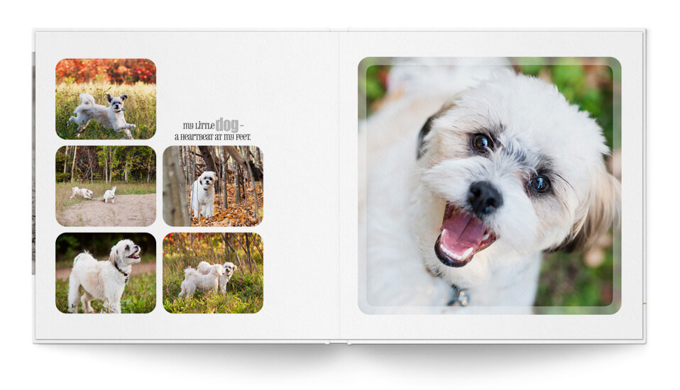 Pet-Tastic Pet Book