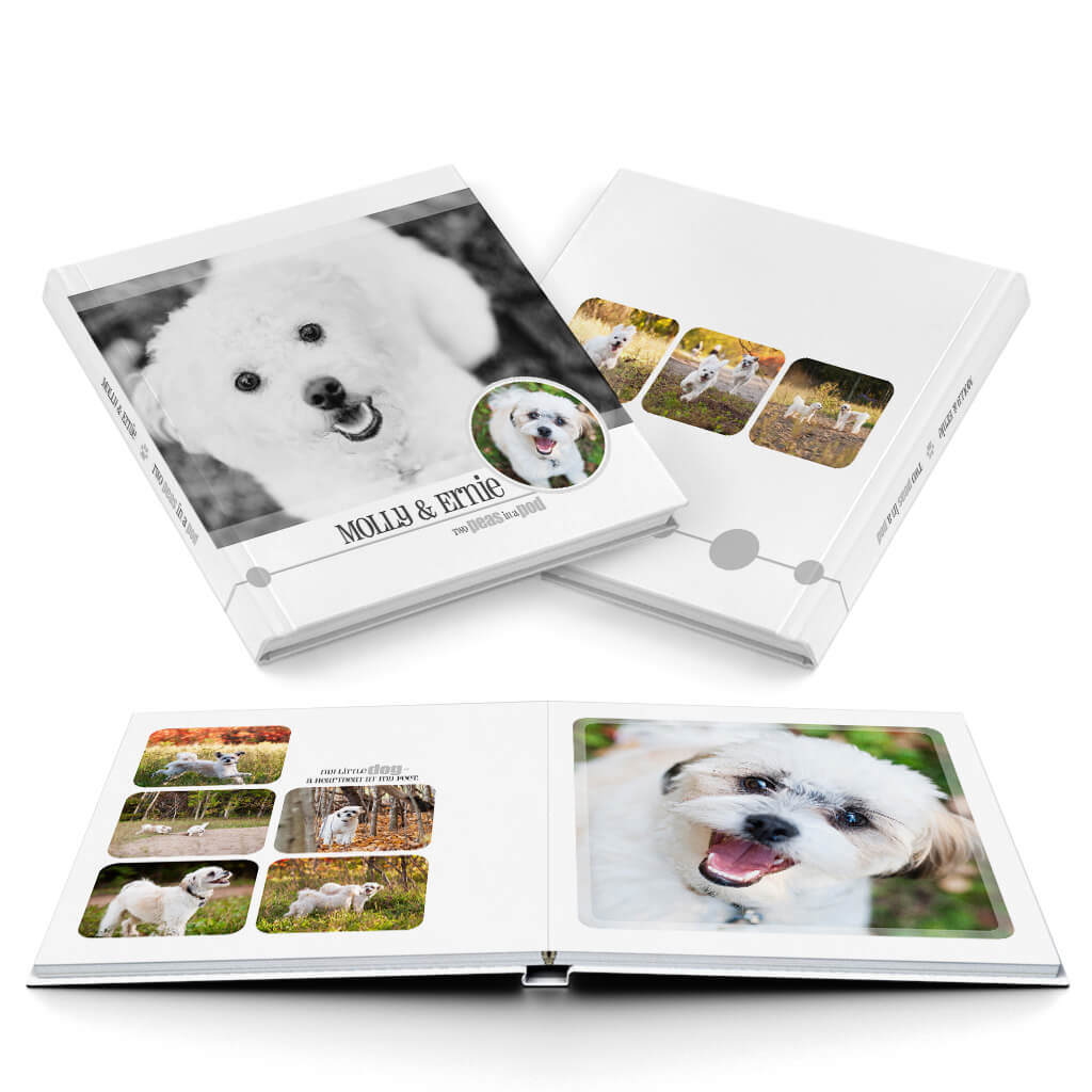 Pet-Tastic Pet Book