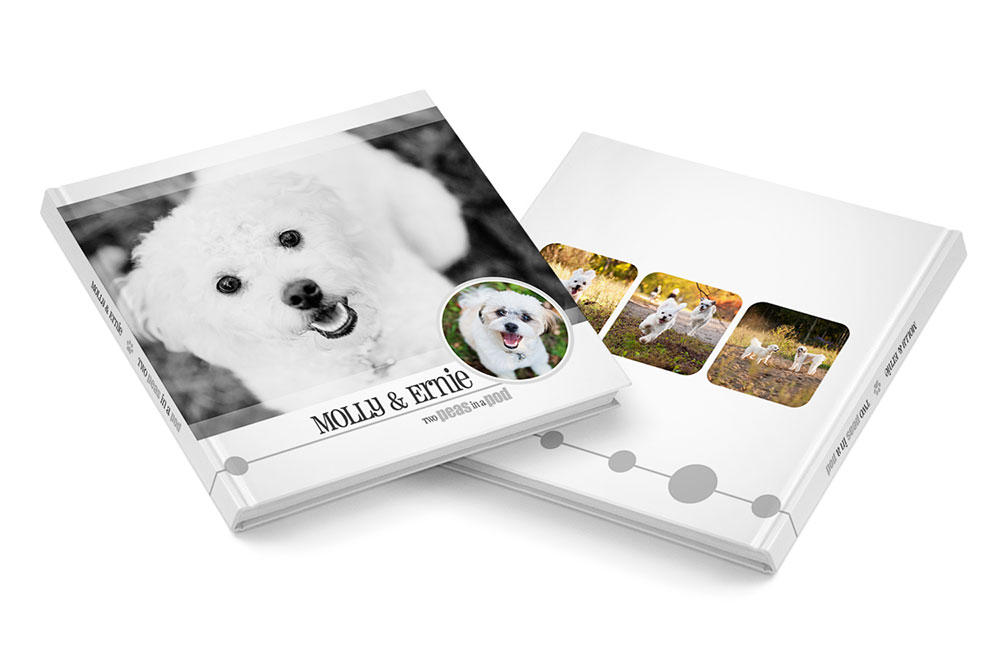 Pet-Tastic Pet Book