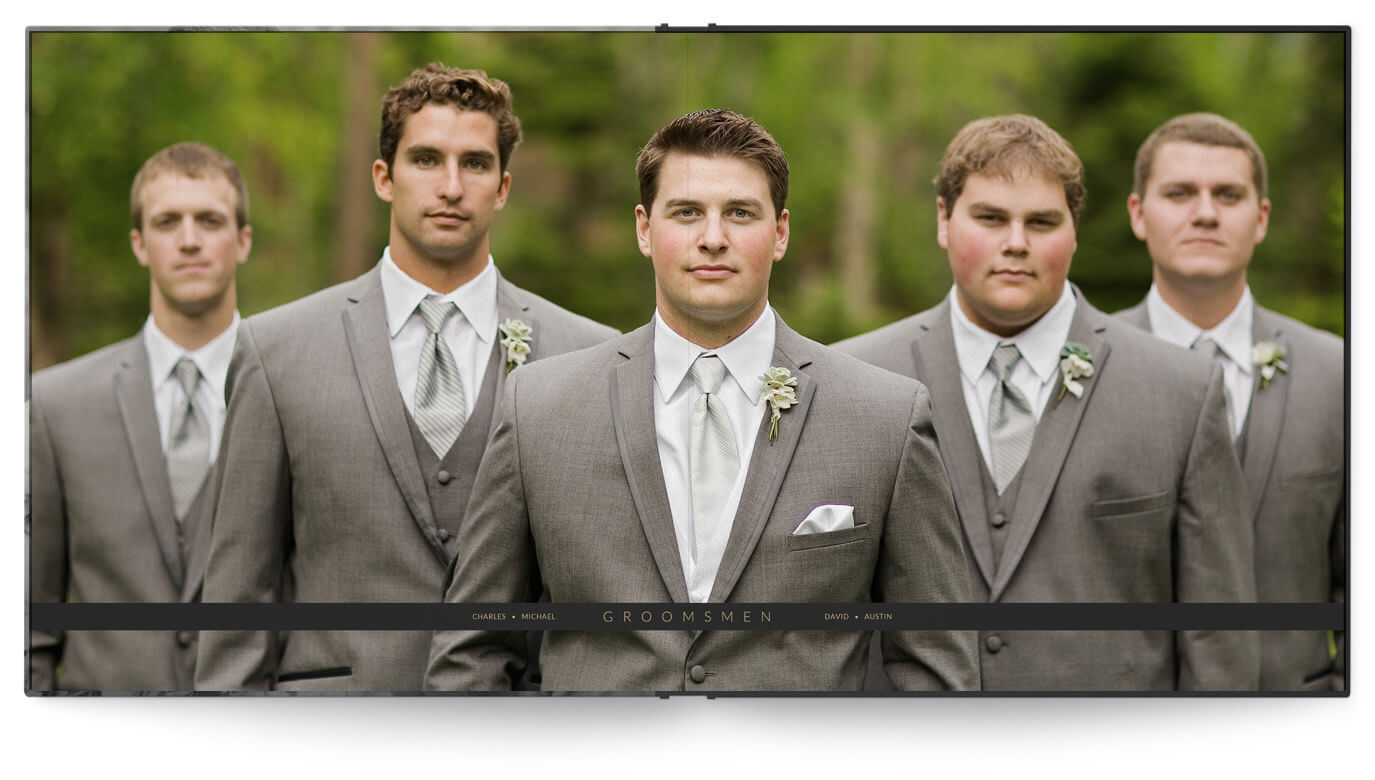 Sophisticated Wedding Album