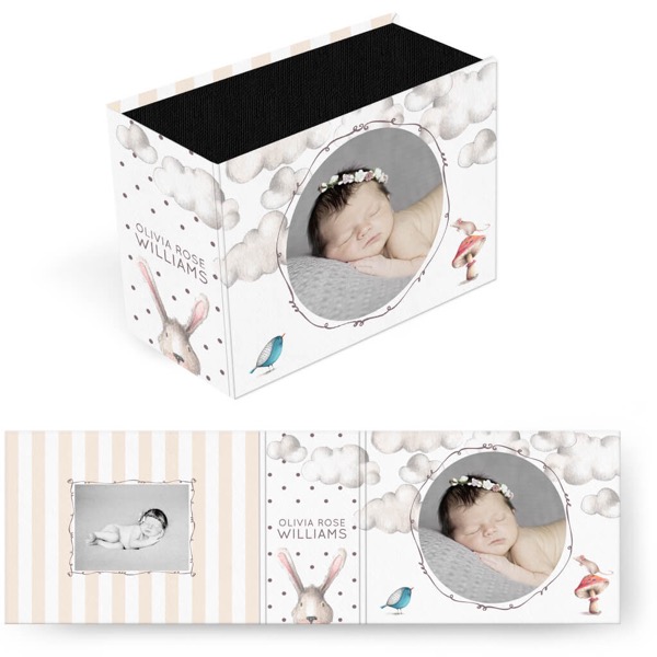 Animal Friends Image Box